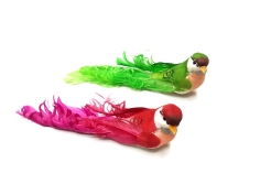 Renkli Kuş Buzdoabı Magnetleri