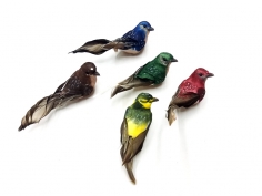 Mıknatıslı Renkli Aşk Kuşu Buzdolabı Magnet