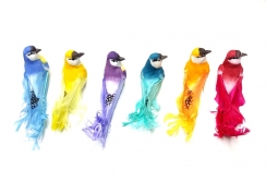 Renkli Köpük Kuş Magnet