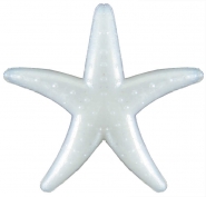 Minik Deniz Yıldızı 100 Adet